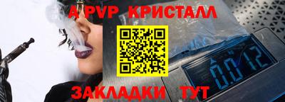 спиды Донской