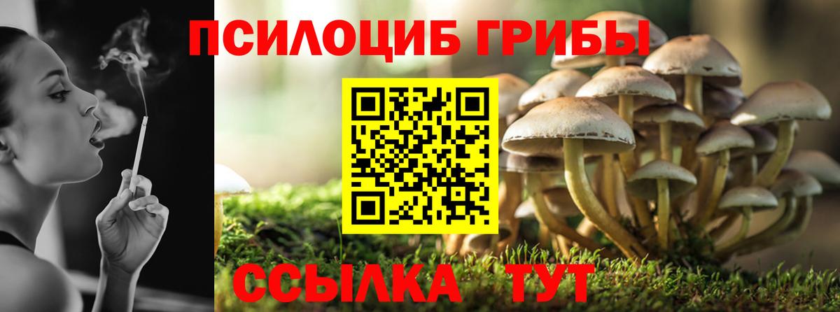 Галлюциногенные грибы ЛСД  где купить   Минеральные Воды  Галлюциногенные грибы Psilocybe  Вход с VPN 